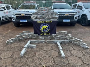 Casal é preso por tráfico em Santa Fé do Sul e leva polícia a esconderijo com 110 tijolos de maconha