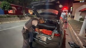 TOR apreende 56 tabletes de maconha em carro na SP-320, em Jales