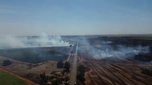 Incêndio em canavial mobiliza bombeiros e fecha rodovia em Santa Albertina