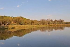 Guararapes passa a notificar e poderá multar quem desperdiçar água diante do risco de racionamento