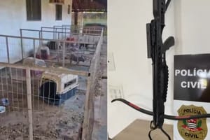 Polícia apreende mais de mil objetos furtados e encontra canil clandestino em Rio Preto