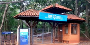 Zoológico de Ilha Solteira encerra visitas e terá área devolvida à Cesp, diz empresa