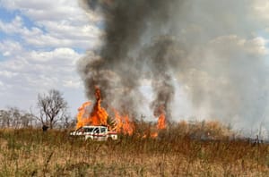 Risco de queimadas: Defesa Civil coloca região Rio Preto em nível de emergência