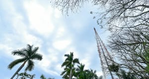 Primavera começa na segunda-feira e traz frente fria com risco de temporais e queda de temperatura