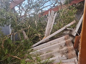 Sete pontos da cidade são afetados por quedas de árvores e destelhamentos em Santa Fé do Sul após temporal
