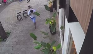 VÍDEO: Ataque de abelhas assusta público durante desfile de aniversário em Ilha Solteira