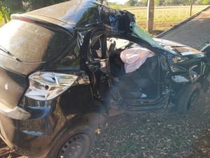 Carro bate em coqueiro e deixa dois mortos em Cardoso