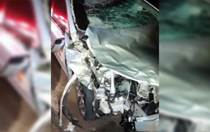 Passageiro fica gravemente ferido após carro bater em boi na Rodovia Ettore Bottura em Santa Fé do Sul