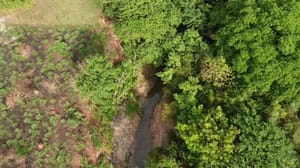 Corpo de mulher desaparecida após ser arrastada por enxurrada em córrego é localizado em Santa Fé do Sul