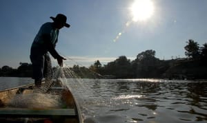 Começa o período da piracema em São Paulo; pesca de espécies nativas fica proibida até fevereiro