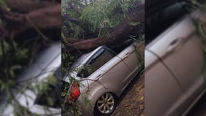 Temporal com ventos de 55 km/h causa danos e deixa moradores sem energia em Ilha Solteira