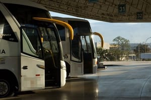 Excursão religiosa é cancelada após organizadora gastar dinheiro com “jogo do tigrinho”