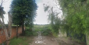 Casal sai para passear com cachorro e encontra corpo em decomposição