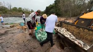 Usina é multada em R$ 5,4 milhões por morte de peixes no rio São José dos Dourados