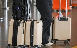 Governo federal passa a exigir autorização eletrônica para transporte de produtos agropecuários em bagagens