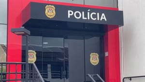 Cachorro morre após ser agredido com golpes de capacete em Andradina