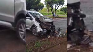 Mulher perde controle do carro e bate em árvore após desviar de cachorro em Santa Fé do Sul