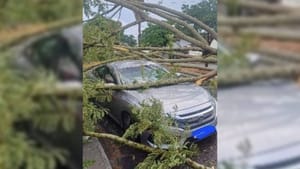 Temporal com ventos fortes causa queda de árvores, alagamentos e transtornos em Fernandópolis no fim de semana