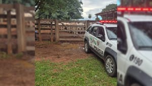 Polícia Ambiental localiza mais de 40 cabeças de gado restantes furtadas em Ilha Solteira
