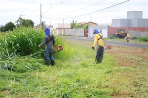 Prefeitura notifica donos de terrenos para limpeza em Santa Fé do Sul