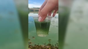 Qualidade da água do Rio Tietê piora no noroeste paulista e apresenta aumento de poluentes