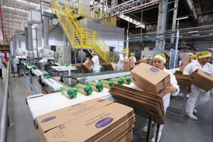 São Paulo gerou quase 96 mil vagas com carteira em fevereiro; serviços lideraram contratações