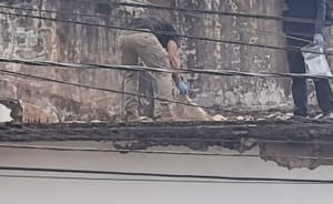 Corpo em decomposição é encontrado em prédio abandonado em José Bonifácio