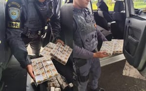 Homem é preso com medicamentos para emagrecer avaliados em R$ 1 milhão na SP-310 em Mirassol