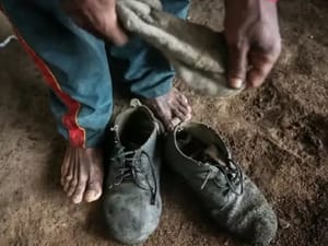 Três empregadores do noroeste paulista entram na “lista suja” do trabalho escravo