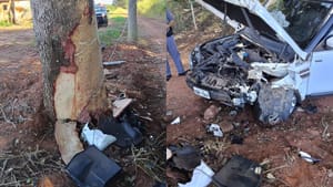 Motorista perde o controle da direção e bate em árvore após testes no veículo em Santa Fé do Sul