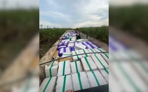 Polícia apreende carreta com 24 toneladas de maconha em Paulo de Faria
