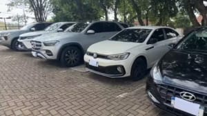 Polícia apreende carros de luxo e bloqueia R$ 86 milhões em investigação contra influenciadora em Rio Preto