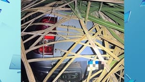 Polícia Civil recupera caminhonete furtada em Jales. Veículo estava escondido em canavial