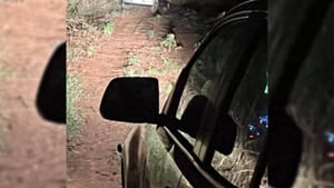 Mulher é encontrada morta em porta-malas de carro em canavial de Catanduva; dois suspeitos são presos