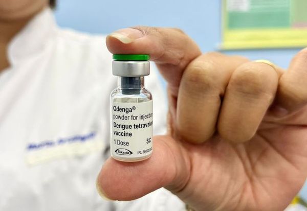 Mais de 600 municípios em seis estados receberão vacina contra a dengue