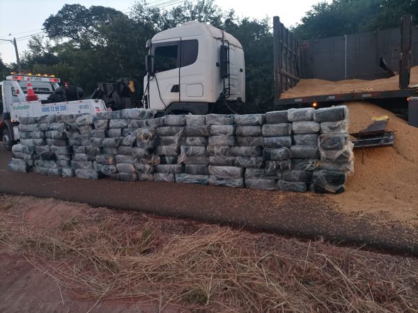 Polícia apreende quase 3 toneladas de maconha em carga de soja no interior de SP
