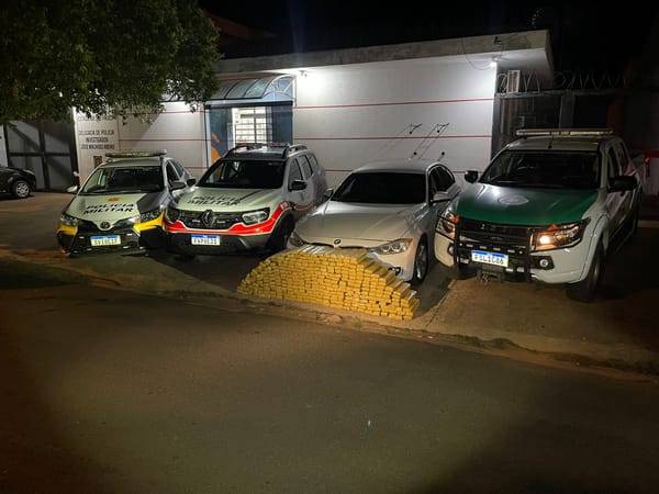 Motorista foge da polícia e é preso com quase 300 kg de maconha na SP-310, em Sud Mennucci