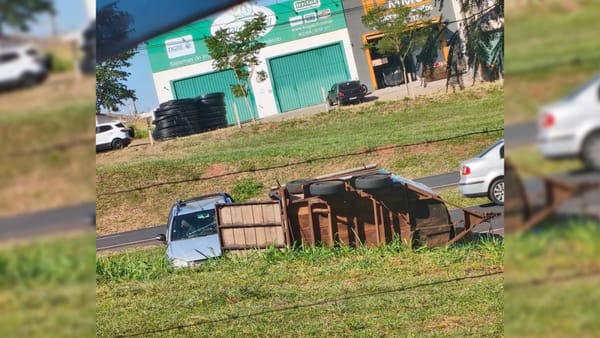 Menina de 8 anos morre após carro perder controle e tombar na SP-320 em Jales