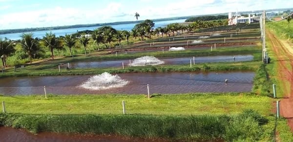 Funcionário da piscicultura fica preso em equipamento e se fere durante trabalho em Santa Clara d’Oeste