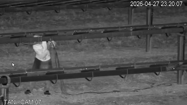 Três são presos por furto de fios de cobre em usina solar no noroeste paulista