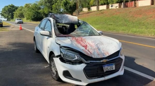 Três pessoas ficam feridas após acidente com cavalo em rodovia da região