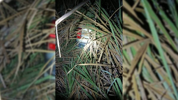 Caminhonete furtada em Jales é encontrada em canavial na zona rural de Pontalinda